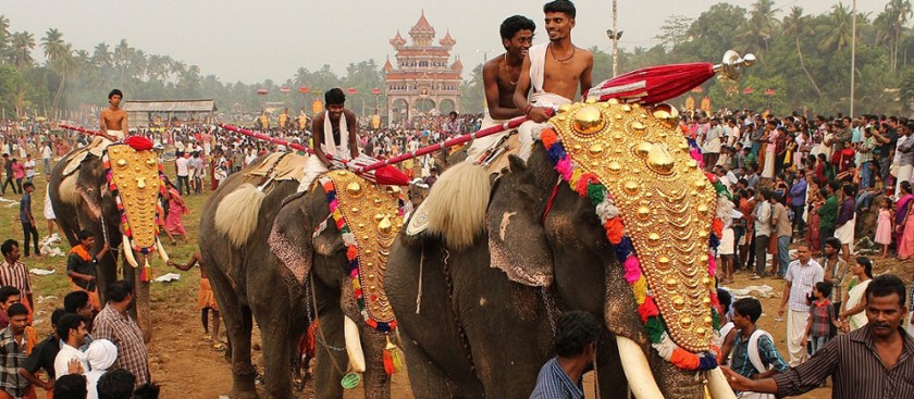 Mahouts on elephants at Thrissur Pooram Elephant Festival