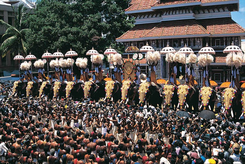Crowds at the Thrissur Pooram Elephant Festival