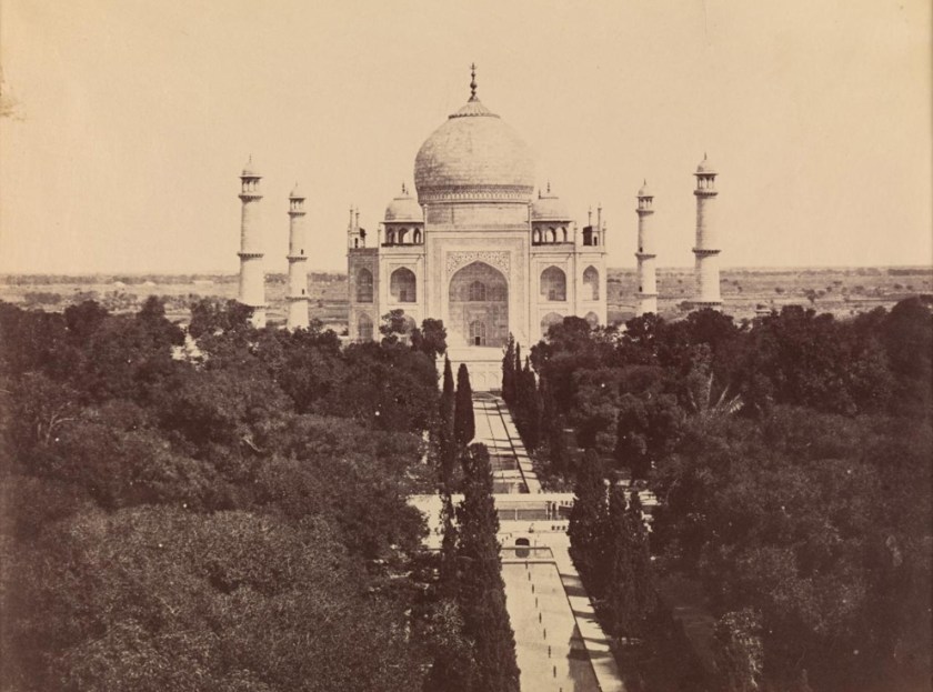 Photo by Dr. Narain Dajee