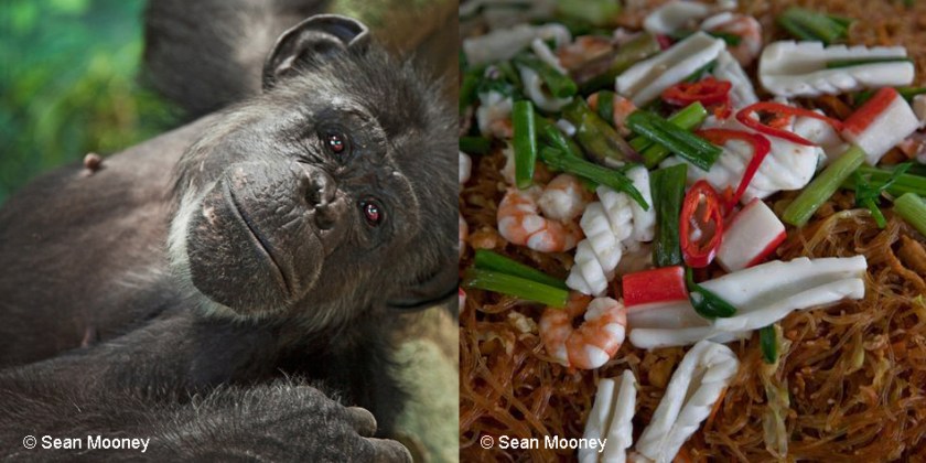 Why are we all so enamored with photography?