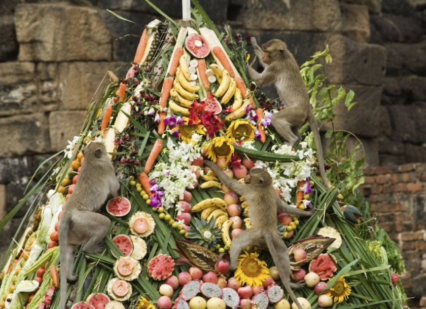 Monkeys climbing pile of food at the Lopburi Monkey Banquet Festival, Thailand