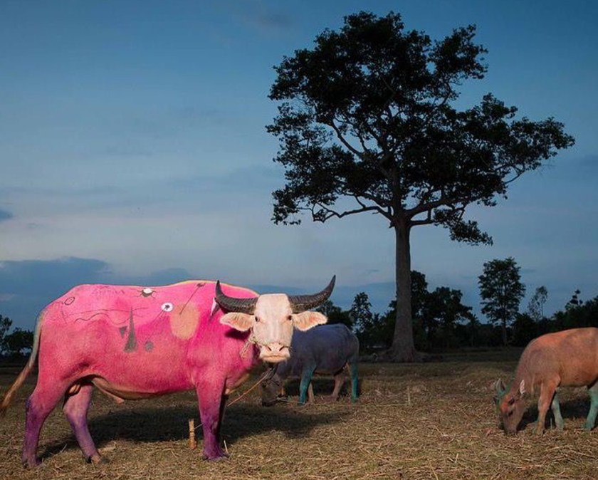 P_KanaKukui_Maitree Siriboon_5.jpg