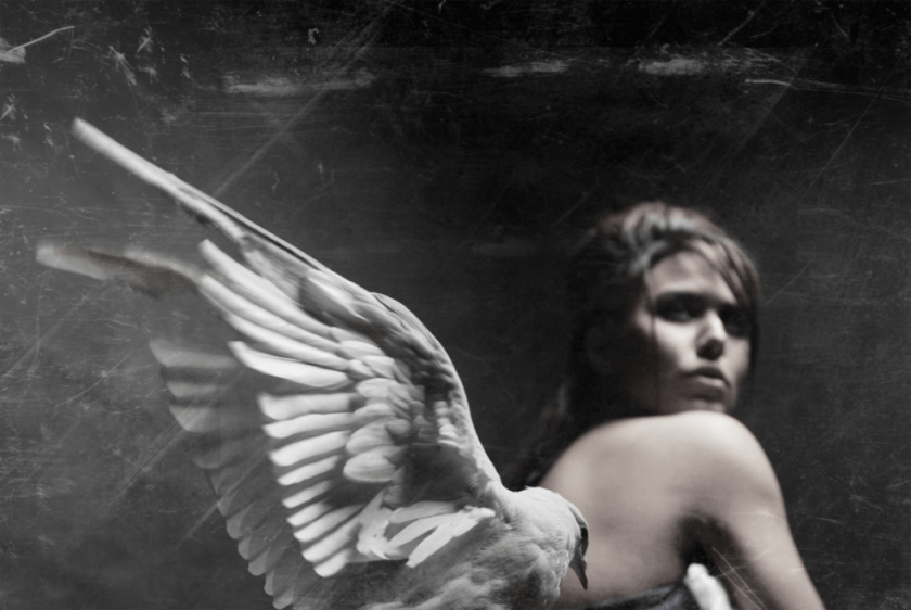 p_kanakukui_fayyaz-ahmed_5